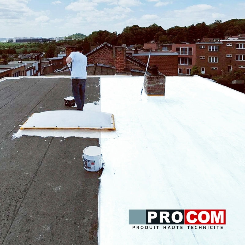 Peinture toiture blanche réfléchissante et anti chaleur - Cool Roof