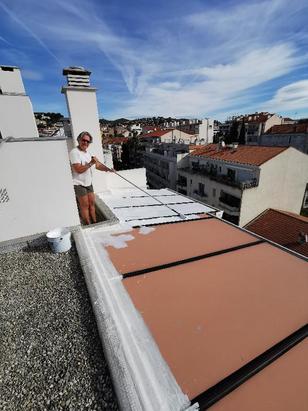 peinture de toit avec de la peinture émaillée à partir d'une bombe