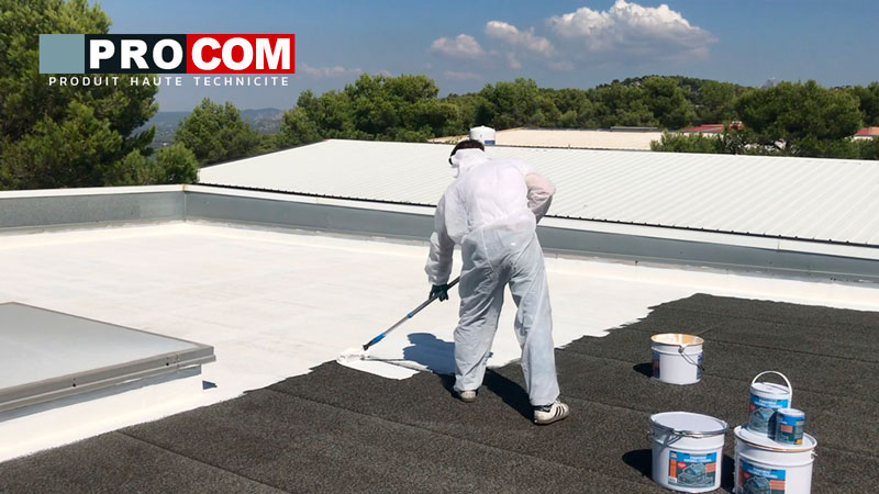 étanchéité toiture toit terrasse réparation tuile résine d'étanchéité  peinture d'étanchéité