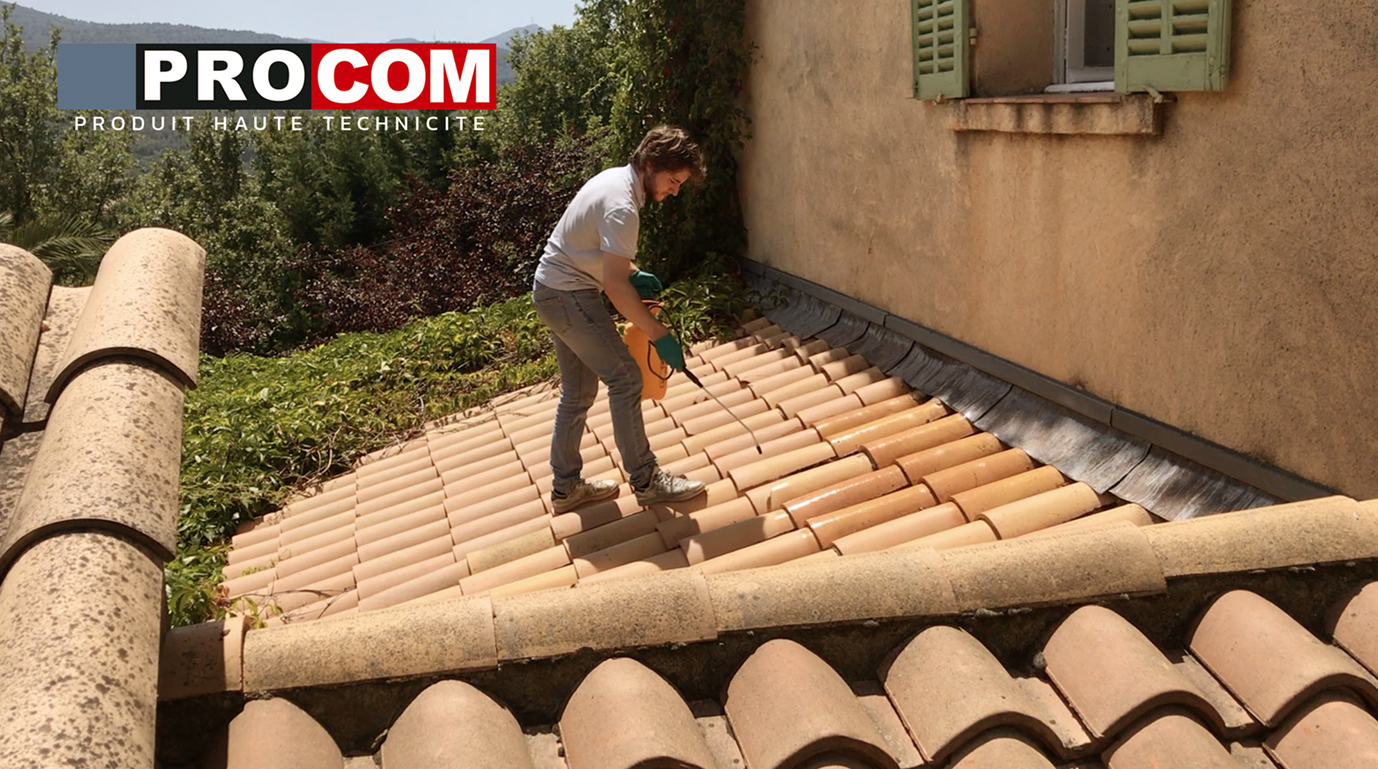 Le traitement anti-mousse de toiture pour façade et terrasse